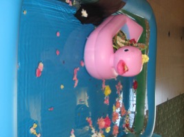 img_5281.jpg